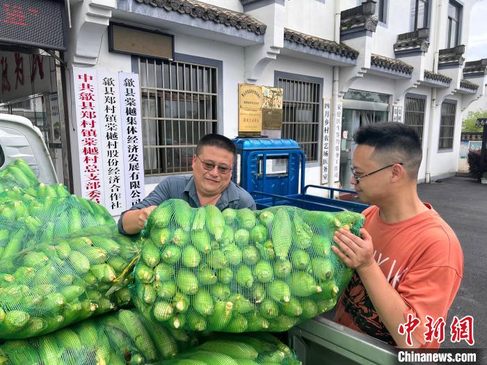 棠樾村村民将采摘的玉米送往销售点。　潘成 摄
