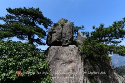 西峡伏牛山老界岭·恐龙遗址园旅游区