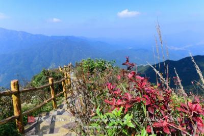 老君山—鸡冠洞旅游区